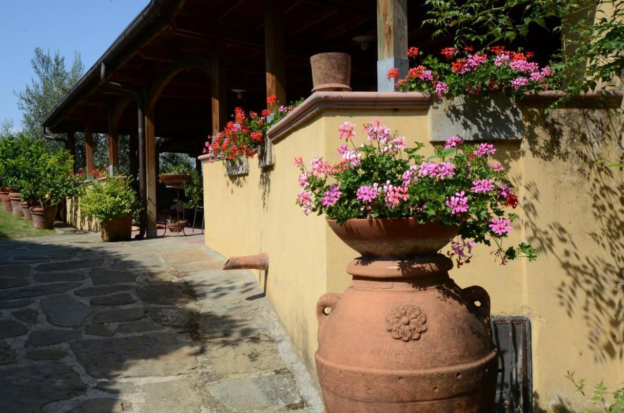 Agriturismo La Casella Castelfranco di Sopra Exterior photo